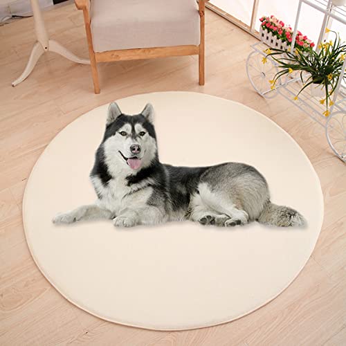 Waigg Kii Große Hundebettmatte, Korallensamt, weich, rund, Teppich, Haustiermatte, Anti-Angst, Hundematratze für kleine, mittelgroße und große Katzen (80 cm, Beige) von Waigg Kii