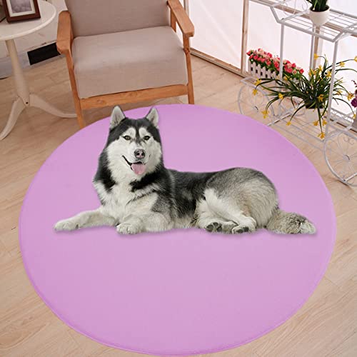 Waigg Kii Große Hundebettmatte, Korallensamt, weich, rund, Teppich, Haustiermatte, Anti-Angst, Hundematratze für kleine, mittelgroße und große Katzen und Hunde (100 cm, Violett) von Waigg Kii