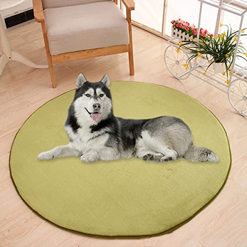 Waigg Kii Große Hundebettmatte, Korallensamt, weich, rund, Teppich, Haustiermatte, Anti-Angst, Hundematratze für kleine, mittelgroße und große Katzen und Hunde (110 cm, grün) von Waigg Kii