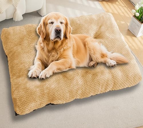 Waigg Kii Großes Hundebett, beruhigender Schlaf, Autobetten, rutschfeste Plüschmatratze, extra groß, orthopädische Hundebetten, Anti-Angst, gemütliches Kissen (Beige, Größe 3XL - 122 x 85 cm) von Waigg Kii