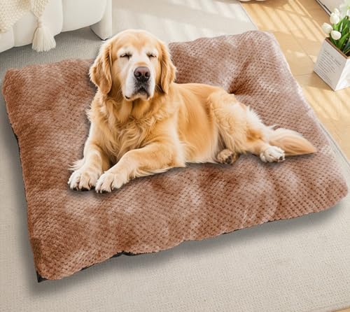 Waigg Kii Großes Hundebett, beruhigender Schlaf, Autobetten, rutschfeste Plüschmatratze, extra groß, orthopädische Hundebetten, Anti-Angst, gemütliches Kissen (Khaki, M-65 x 50 cm) von Waigg Kii