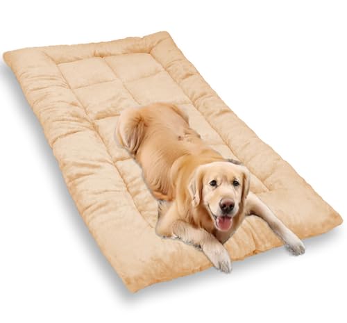 Waigg Kii Großes Hundebett, beruhigender Schlaf, Plüsch-Matratze, extra große Hundebetten, Anti-Angstzustände, gemütlicher Bezug für Käfige, Bettwäsche, Kissen (Beige, M, 60 x 40 cm, 2 Stück) Waigg Kii Großes Hundebett, beruhigender Schlaf, Plüsch-Matratze, extra große Hundebetten, Anti-Angstzustände, gemütlicher Bezug für Käfige, Bettwäsche, Kissen (Beige, M, 60 x 40 cm, 2 Stück) von Waigg Kii