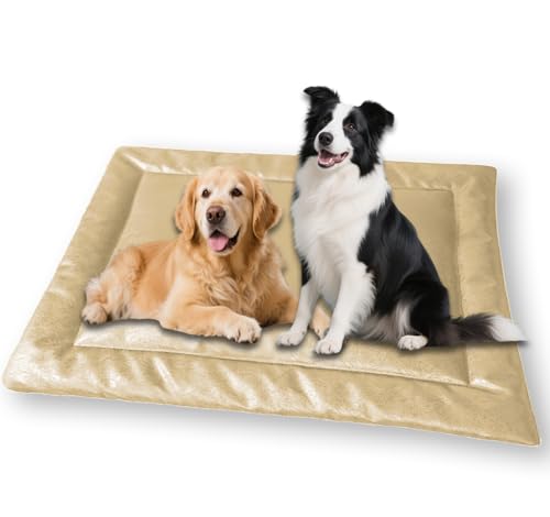 Waigg Kii Großes Hundebett, urinfest, wasserdicht, beruhigende Haustierbox-Matratze, luxuriöses Hundesofa, Anti-Angst-Hundekissen für Indoor-Katzen, rutschfest (Beige, XXL - 120 x 90 cm) von Waigg Kii