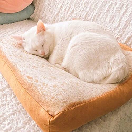 Waigg Kii Haustierbett / Katzenbett, 40 x 40 cm / 80 x 80 cm, weiches Haustierkissen, Sitzpolster für Katzen, zum Schlafen und Ausruhen (40 x 40 cm) von Waigg Kii