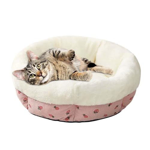 Waigg Kii Katzenbett, Donut-Hundebett, rund, erhöhtes Sofa, Matte, beruhigend, orthopädische Kätzchen, Katzenbetten für Innenkatzen, Welpen, kleine Hunde (Beige, 50 cm) von Waigg Kii