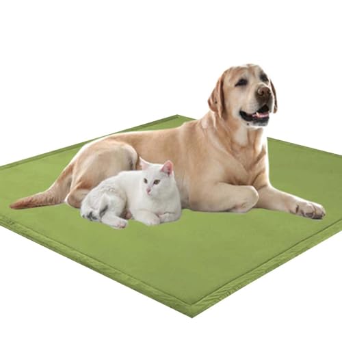 Waigg Kii Weiche, große Hundematratze, XXL-Hundematratze, 2 cm dick, weicher Korallensamt, rutschfeste Schlafmatte für Hunde und Katzen, Anti-Angst-Hundekissen (60 x 40 cm, Grün) von Waigg Kii