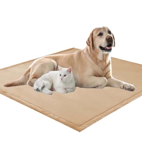 Waigg Kii Weiche, große Hundematratze, XXL-Hundematratze, 2 cm dick, weicher Korallensamt, rutschfeste Schlafmatte für Hunde und Katzen, Anti-Angst-Hundekissen (60 x 60 cm, Beige) von Waigg Kii