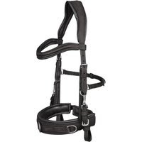 Waldhausen GmbH Waldhausen Kappzaum Anatomic schwarz Pony Waldhausen GmbH Waldhausen Kappzaum Anatomic schwarz Pony von Waldhausen GmbH