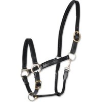 Waldhausen GmbH Waldhausen STAR Lederhalfter Robust Pony von Waldhausen GmbH