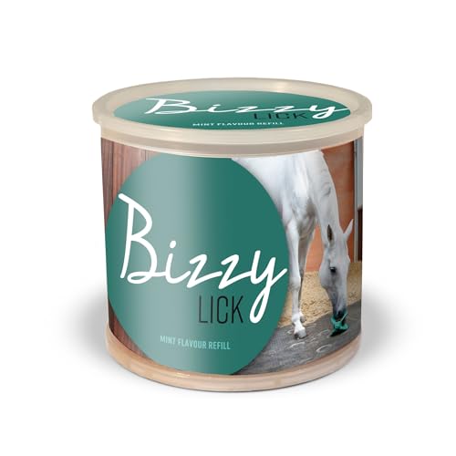 BIZZY Horse Leckstein, 1 kg 1 kg, Minze von WALDHAUSEN