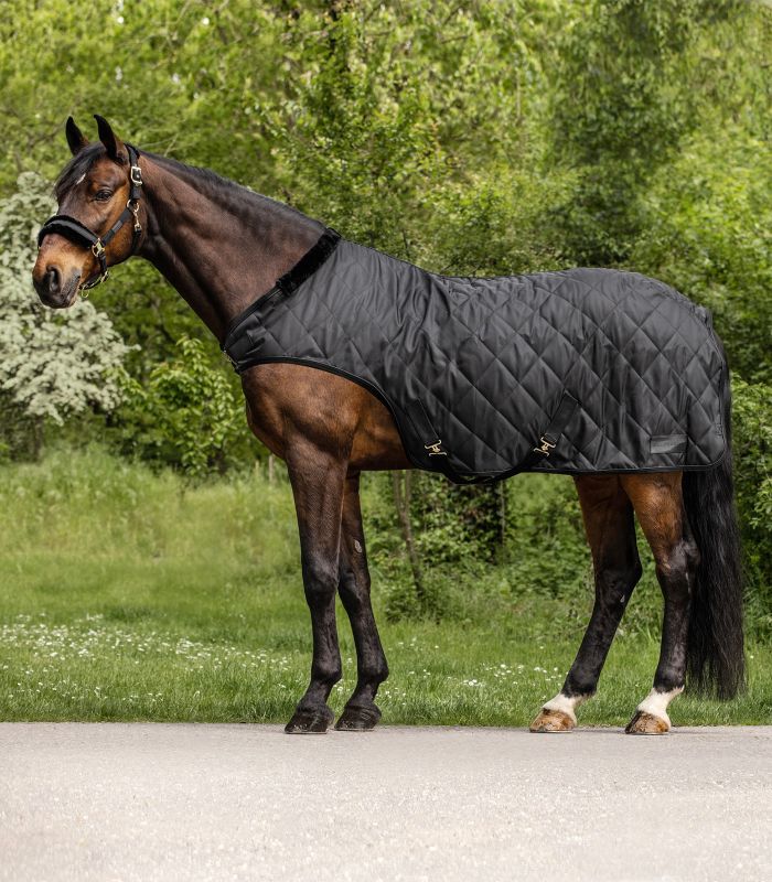 Waldhausen 50g Führmaschinendecke Exclusive Schwarz, Gr. 145 cm Waldhausen 50g Führmaschinendecke Exclusive Schwarz, Gr. 145 cm von Waldhausen