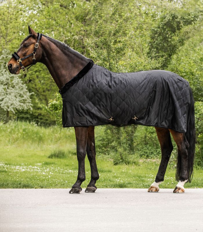 Waldhausen 50g Transportdecke Exclusive Schwarz, Gr. 155 cm Waldhausen 50g Transportdecke Exclusive Schwarz, Gr. 155 cm von Waldhausen