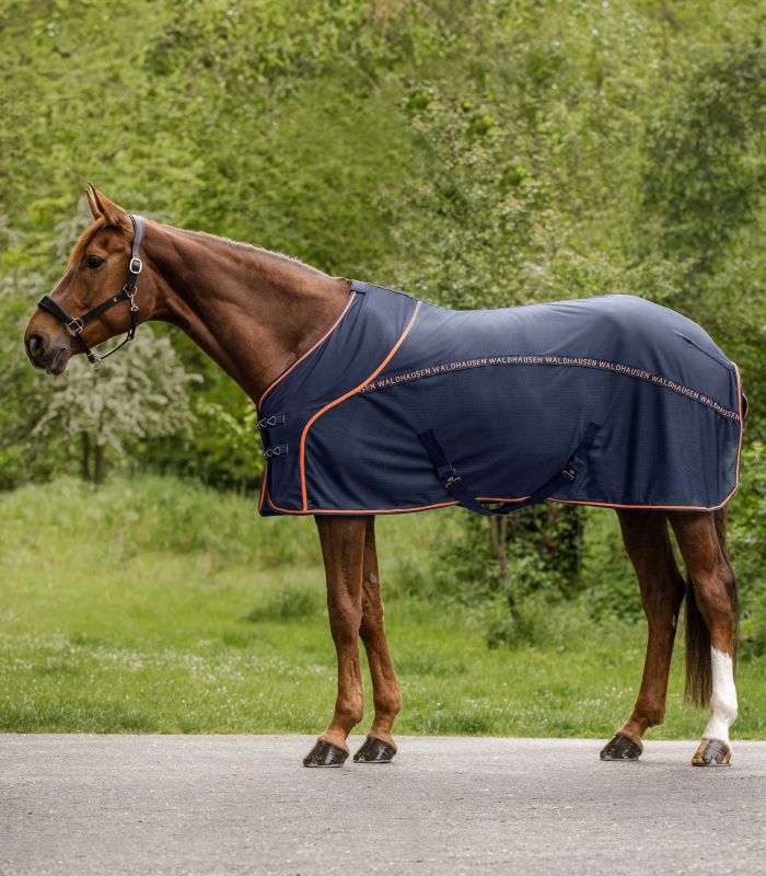 Waldhausen Cooler Fliegen-Sommerdecke Nachtblau/ Orange, 135 cm Waldhausen Cooler Fliegen-Sommerdecke Nachtblau/ Orange, 135 cm von Waldhausen