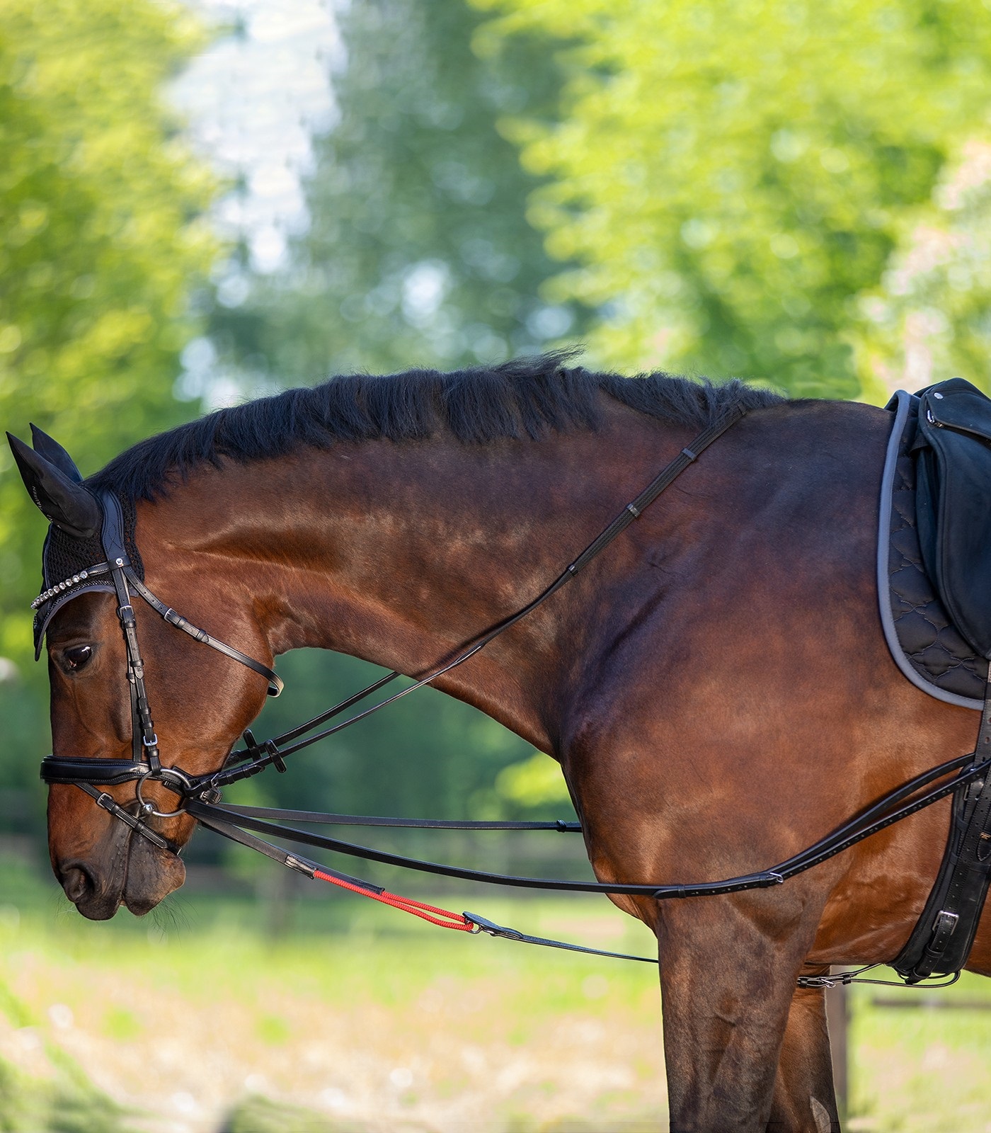 Waldhausen Dreieckzügel W-trainRein Gr. Pony Waldhausen Dreieckzügel W-trainRein Gr. Pony von Waldhausen
