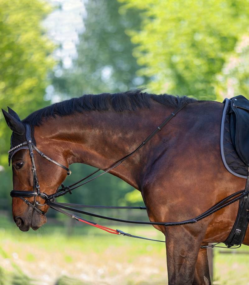 Waldhausen Dreieckzügel W-trainRein Gr. Pony Waldhausen Dreieckzügel W-trainRein Gr. Pony von Waldhausen