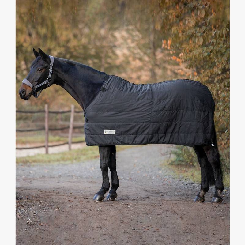 Waldhausen Economic Thermo Unterdecke 100 g Gr. 125 cm Waldhausen Economic Thermo Unterdecke 100 g Gr. 125 cm von Waldhausen