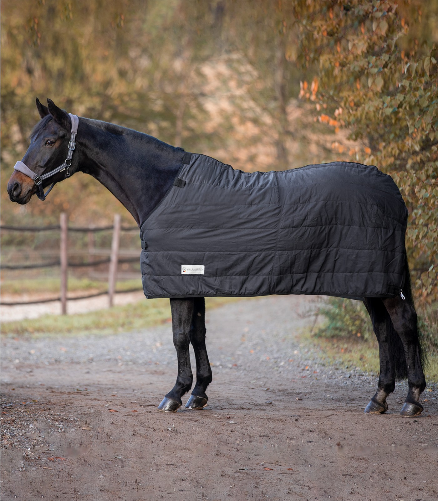 Waldhausen Economic Thermo Unterdecke 200 g Gr. 155 cm Waldhausen Economic Thermo Unterdecke 200 g Gr. 155 cm von Waldhausen