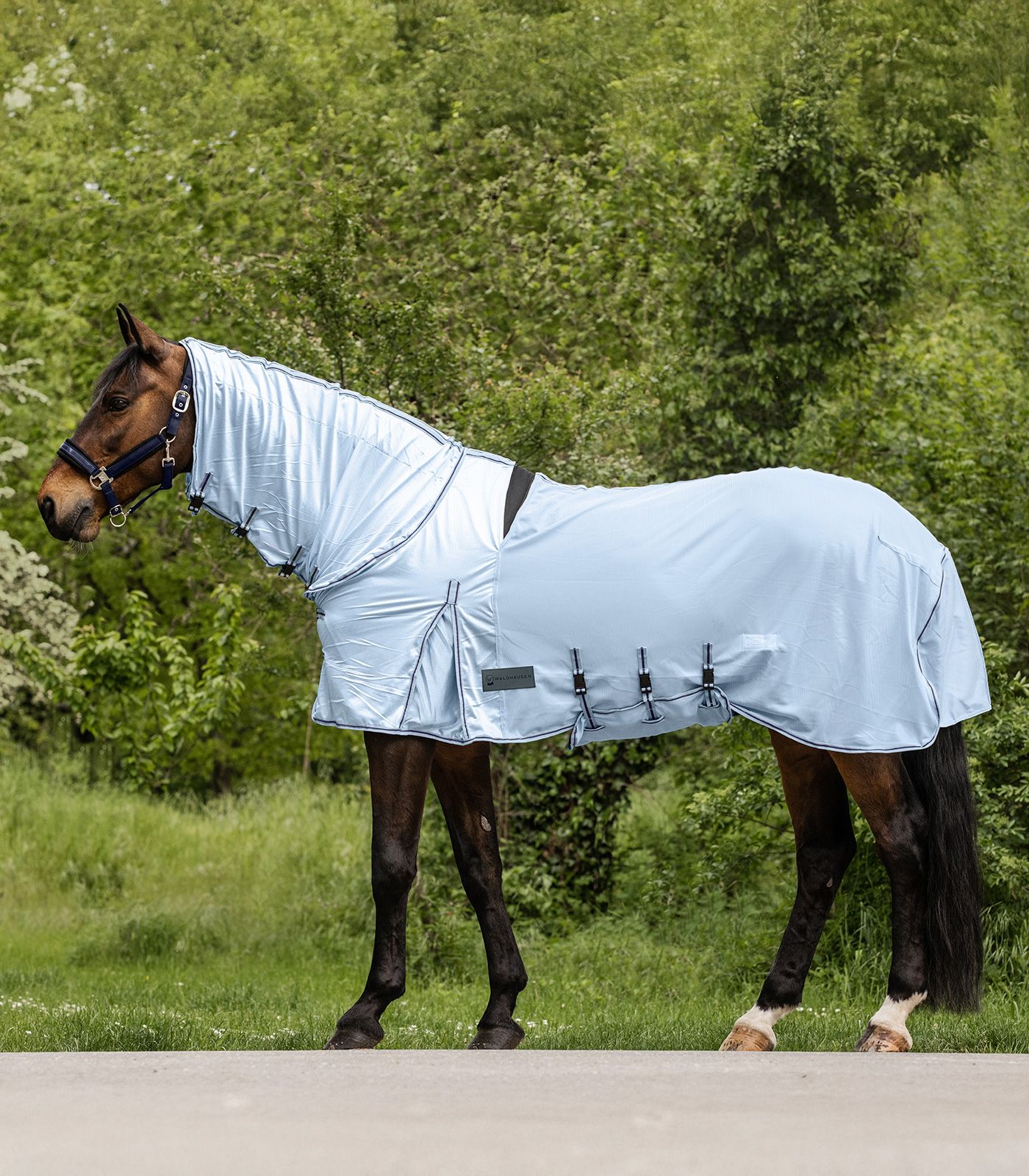 Waldhausen Ekzemer-Fliegendecke Protect Hellblau/ Nachtblau, 155 cm Waldhausen Ekzemer-Fliegendecke Protect Hellblau/ Nachtblau, 155 cm von Waldhausen