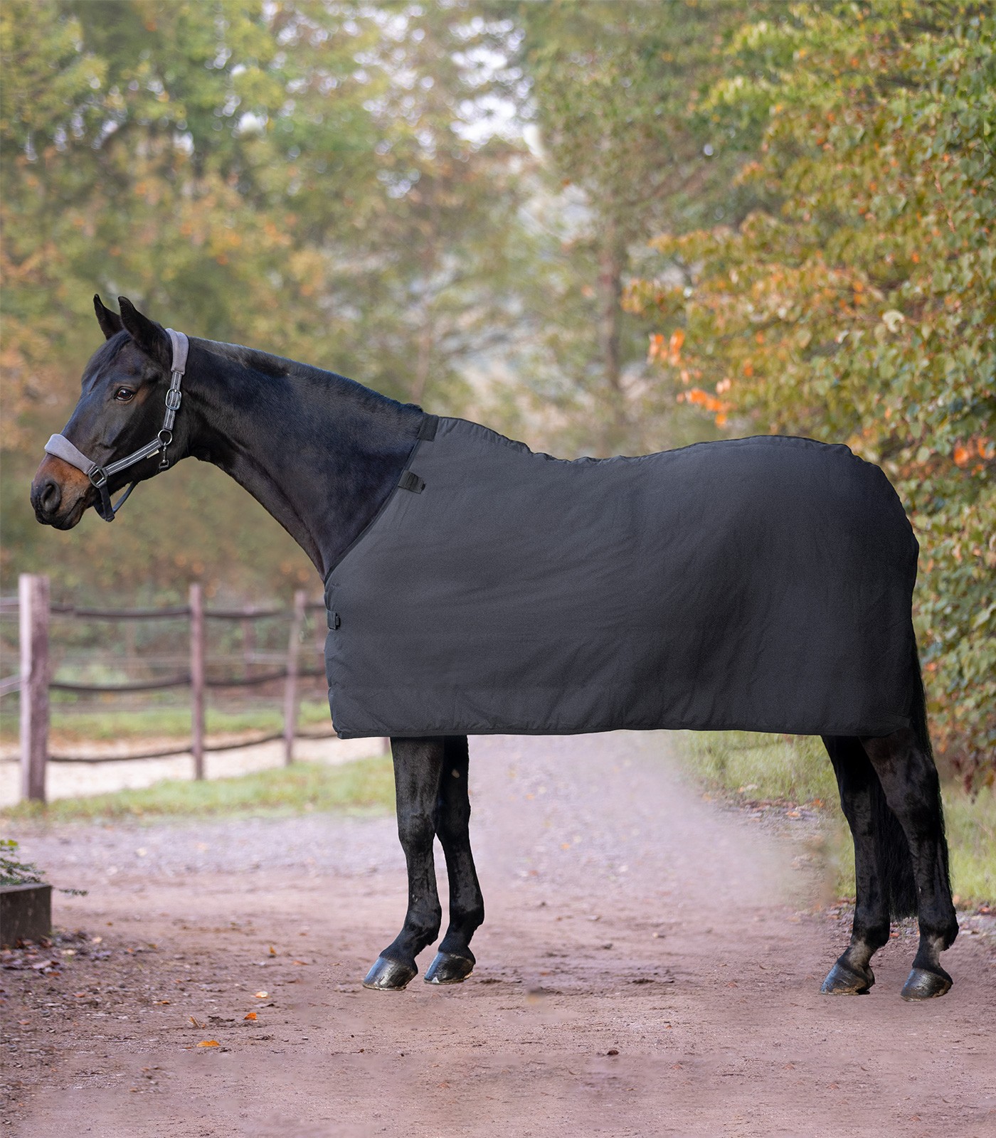 Waldhausen Fleece Unterdecke, schwarz, Gr. 155cm Clip In Decken System Waldhausen Fleece Unterdecke, schwarz, Gr. 155cm Clip In Decken System von Waldhausen