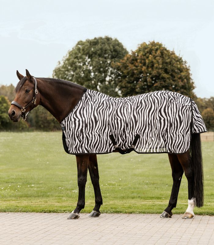 Waldhausen Fliegendecke Zebra mit Kreuzgurten 125 cm Waldhausen Fliegendecke Zebra mit Kreuzgurten 125 cm von Waldhausen