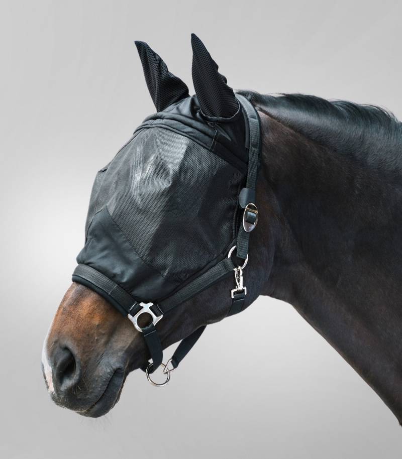 Waldhausen Fliegenmaske Premium mit Halfter Schwarz, Gr. Pony von Waldhausen