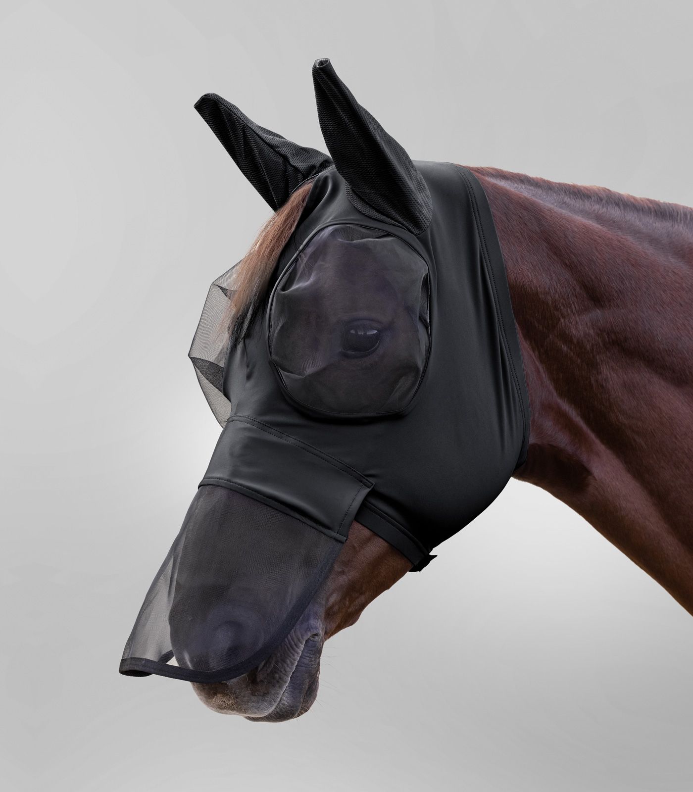 Waldhausen Fliegenmaske Puck mit Nasenschutz Schwarz, Gr. Pony Waldhausen Fliegenmaske Puck mit Nasenschutz Schwarz, Gr. Pony von Waldhausen