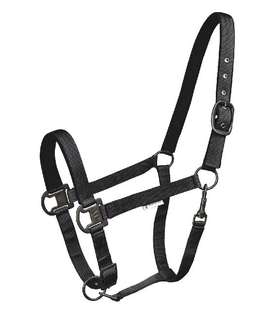 Waldhausen Halfter Gloomy  Schwarz, Pony von Waldhausen