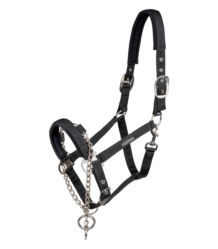 Waldhausen Halfter Pro Safety Schwarz, Wb Waldhausen Halfter Pro Safety Schwarz, Wb von Waldhausen