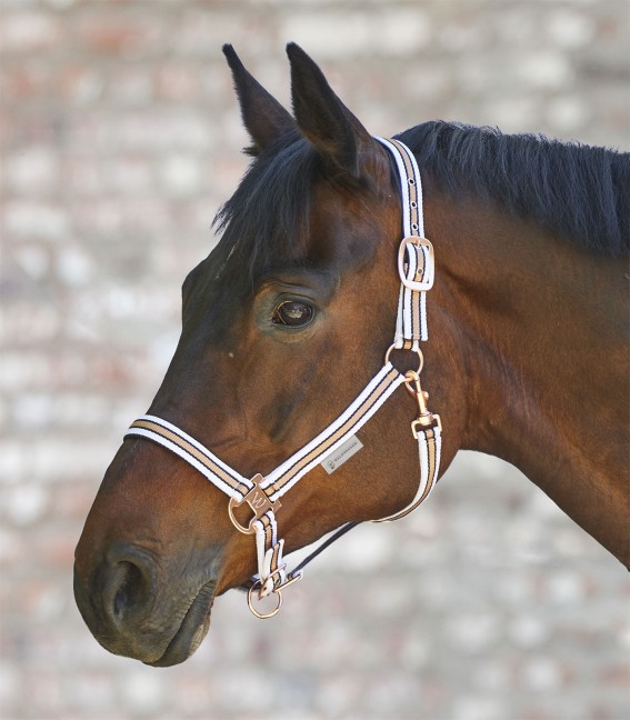 Waldhausen Halfter Rosé Shine Weiß/ Rosé, Pony von Waldhausen