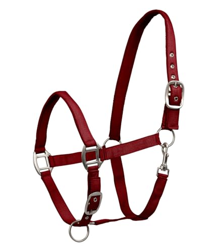 Waldhausen Perlonhalfter Satin, Bordeaux, VB von WALDHAUSEN
