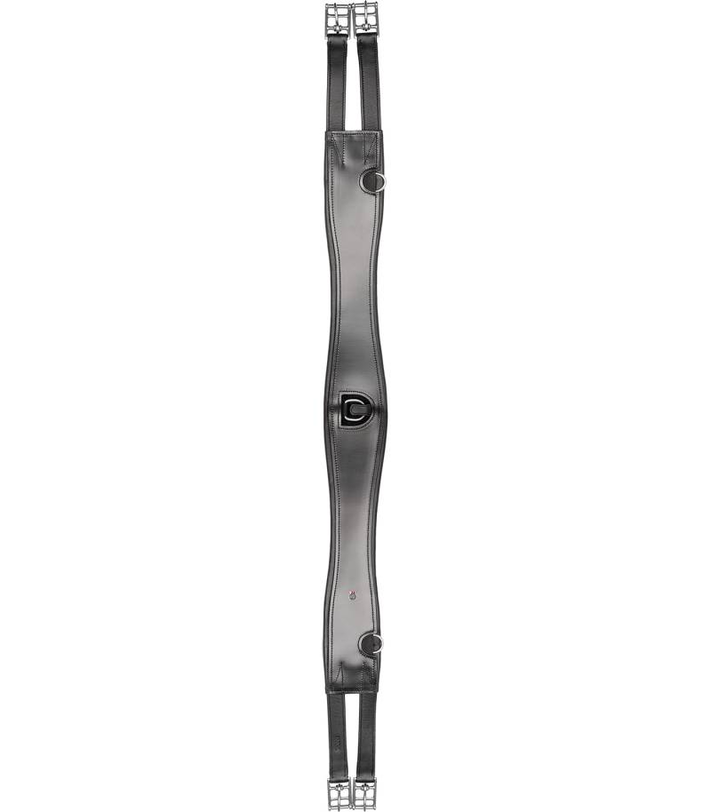Waldhausen Ledersattelgurt Sleek Schwarz, 125 cm Waldhausen Ledersattelgurt Sleek Schwarz, 125 cm von Waldhausen