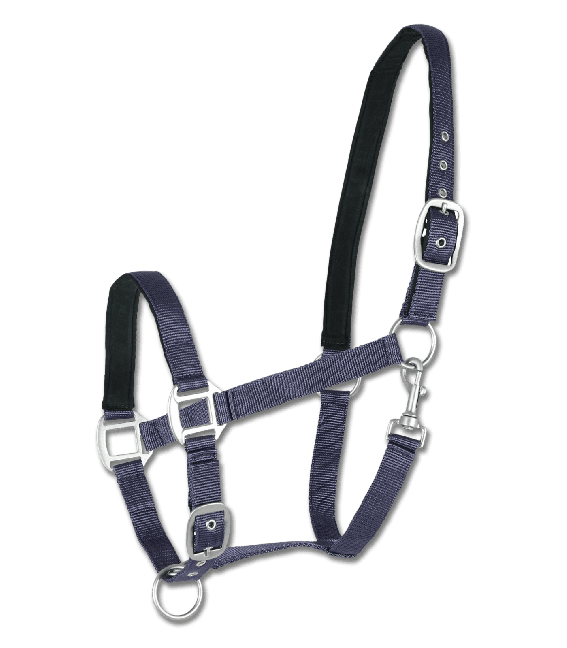 Waldhausen Perlonhalfter Satin Blau, Vb Waldhausen Perlonhalfter Satin Blau, Vb von Waldhausen