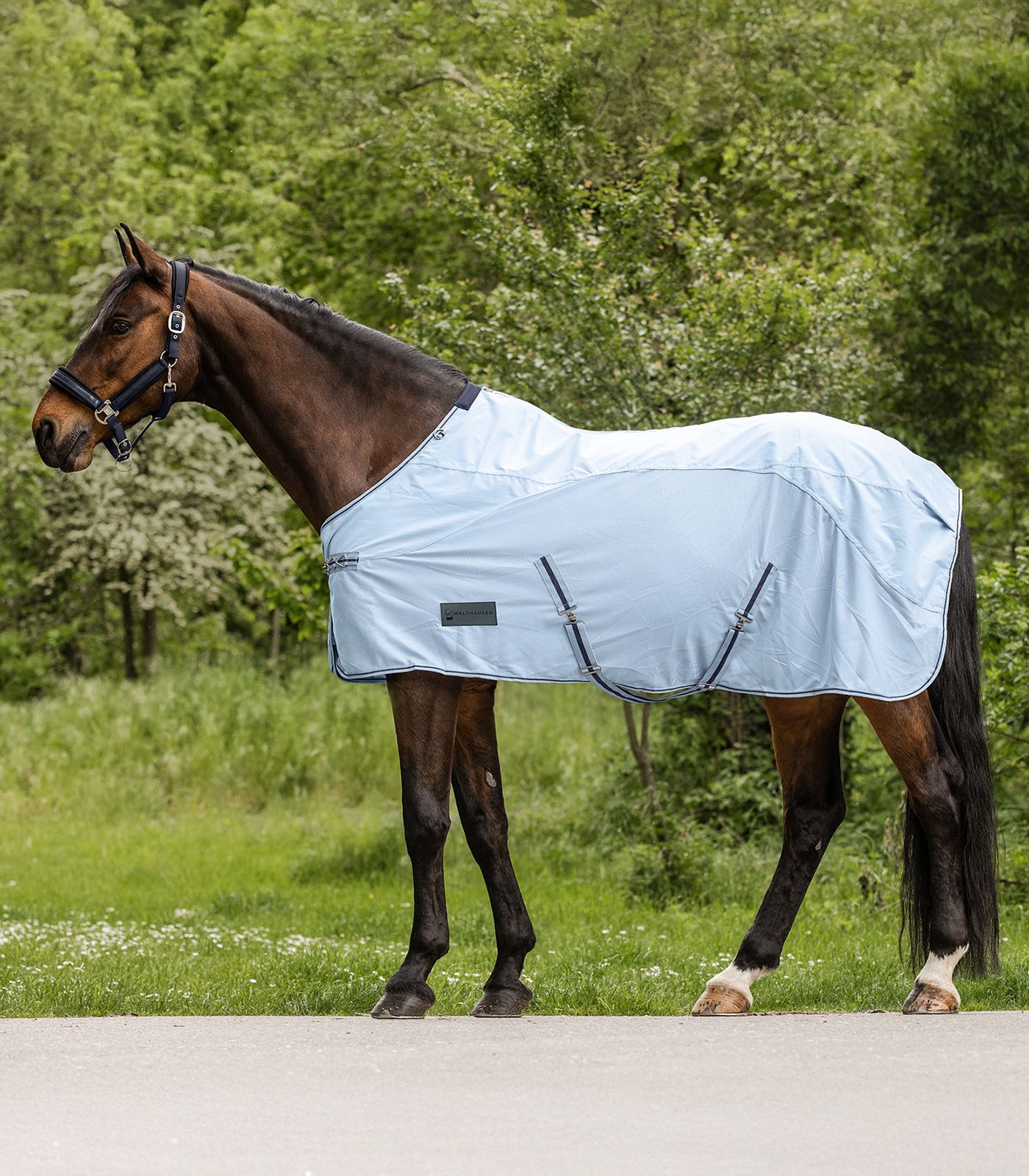 Waldhausen Regen-Fliegendecke Protect Hellblau/ Nachtblau, Gr. 125 cm Waldhausen Regen-Fliegendecke Protect Hellblau/ Nachtblau, Gr. 125 cm von Waldhausen