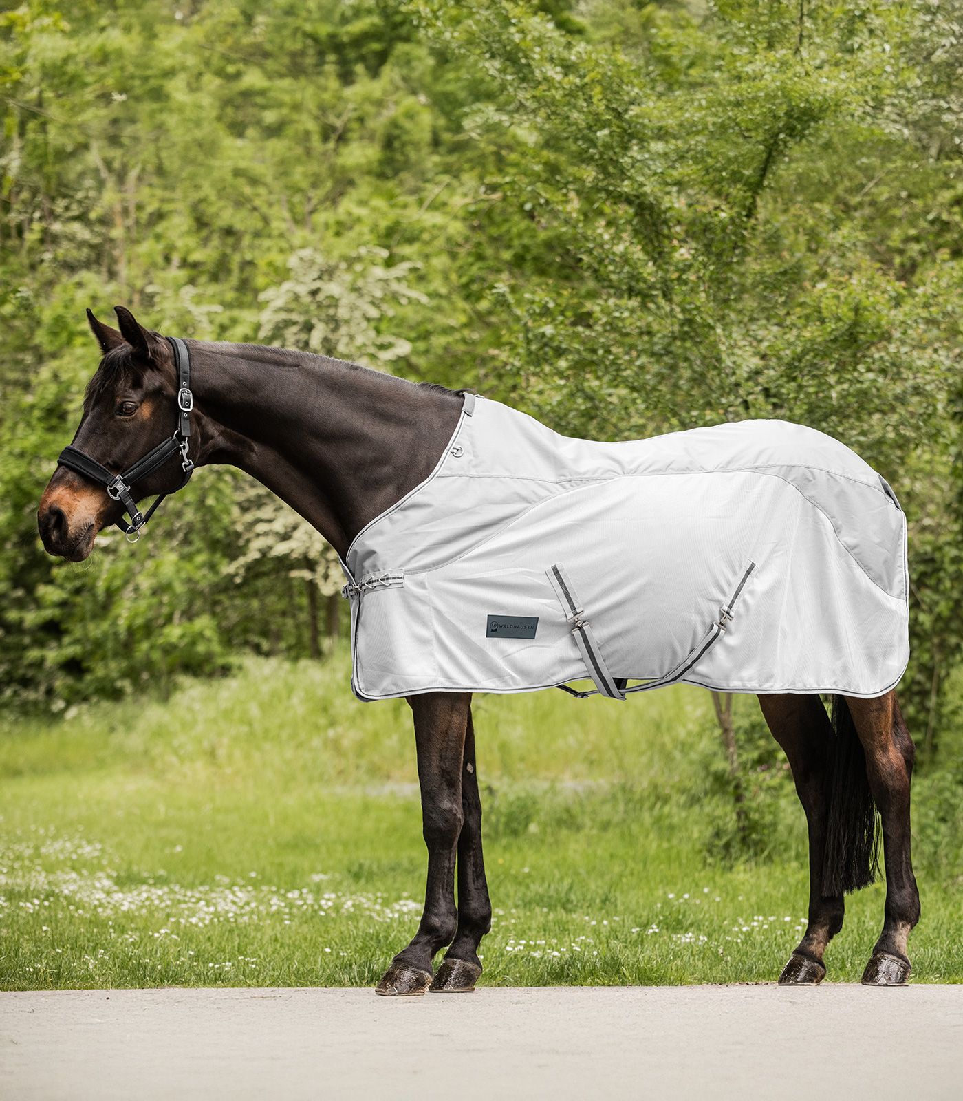 Waldhausen Regen-Fliegendecke Protect Silbergrau/ Grau, Gr. 115 cm Waldhausen Regen-Fliegendecke Protect Silbergrau/ Grau, Gr. 115 cm von Waldhausen