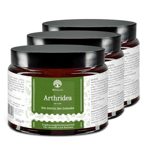Waldkraft Arthridea | Gelenkkomplex für Hunde & Katzen | Mit MSM, Glucosamin, Chondroitin, Kollagen, Grünlippmuschel, Kurkuma & Weihrauch | 3X 300 g Pulver in lichtschützendem Braunglastiegel Waldkraft Arthridea | Gelenkkomplex für Hunde & Katzen | Mit MSM, Glucosamin, Chondroitin, Kollagen, Grünlippmuschel, Kurkuma & Weihrauch | 3X 300 g Pulver in lichtschützendem Braunglastiegel von Waldkraft