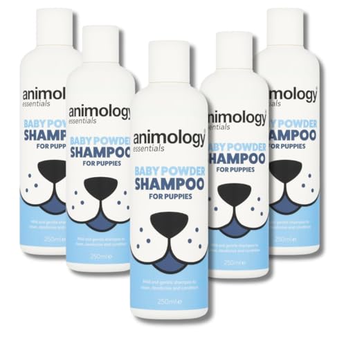Sparset 5 x 250ml Animology Essential Puppy Shampoo für Welpen, Sanfte Reinigung & Pflege für empfindliche Haut, Beruhigend & allergenfrei mit Pro-Vitamin B5. Für glänzendes, gesundes Fell. Sparset 5 x 250ml Animology Essential Puppy Shampoo für Welpen, Sanfte Reinigung & Pflege für empfindliche Haut, Beruhigend & allergenfrei mit Pro-Vitamin B5. Für glänzendes, gesundes Fell. von Waldsehnen