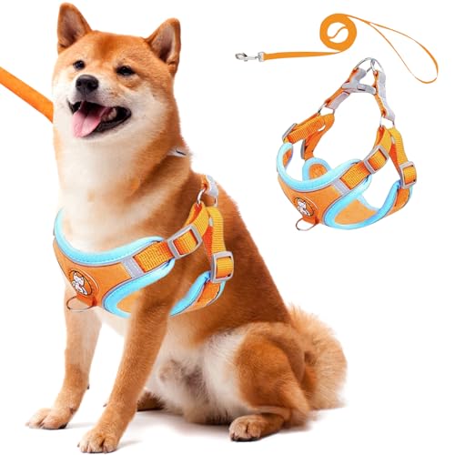 Waldspring Hundegeschirr Kleine Hunde Ausbruchsicher 150 cm, Hundegeschirr mit Leine, Katzenleine Verstellbar Weich mit Reflektierenden Streifen, Für Mittelgroße Hunde und Grosse Katzen Waldspring Hundegeschirr Kleine Hunde Ausbruchsicher 150 cm, Hundegeschirr mit Leine, Katzenleine Verstellbar Weich mit Reflektierenden Streifen, Für Mittelgroße Hunde und Grosse Katzen von Waldspring