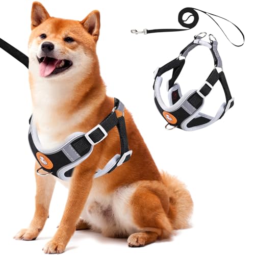 Waldspring Hundegeschirr Kleine Hunde Ausbruchsicher 150 cm, Hundegeschirr mit Leine, Katzenleine Verstellbar Weich mit Reflektierenden Streifen, Für Mittelgroße Hunde und Grosse Katzen Waldspring Hundegeschirr Kleine Hunde Ausbruchsicher 150 cm, Hundegeschirr mit Leine, Katzenleine Verstellbar Weich mit Reflektierenden Streifen, Für Mittelgroße Hunde und Grosse Katzen von Waldspring