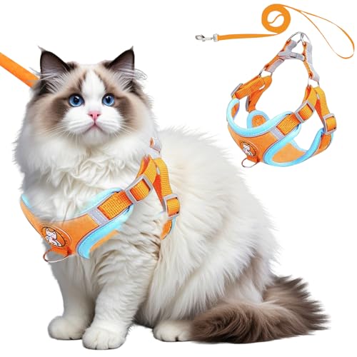 Waldspring Katzengeschirr mit Leine Ausbruchsicher, Katzenleine mit Geschirr für Katzen 150 cm, Katzengeschirr Verstellbar Weich mit Reflektierenden Streifen, Für Katzen und Kleine Hunde Waldspring Katzengeschirr mit Leine Ausbruchsicher, Katzenleine mit Geschirr für Katzen 150 cm, Katzengeschirr Verstellbar Weich mit Reflektierenden Streifen, Für Katzen und Kleine Hunde von Waldspring