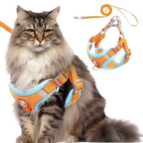 Waldspring Katzengeschirr mit Leine Ausbruchsicher 150 cm, Hundegeschirr Kleine Hunde, Katzenleine Verstellbar Weich mit Reflektierenden Streifen, Für Welpen und Mittelgroße Katzen Waldspring Katzengeschirr mit Leine Ausbruchsicher 150 cm, Hundegeschirr Kleine Hunde, Katzenleine Verstellbar Weich mit Reflektierenden Streifen, Für Welpen und Mittelgroße Katzen von Waldspring