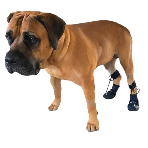 Toe'sUP Walkaboot Stiefel ohne Knöchel, verhindert das Ziehen der Pfoten, ideal für Haustiere mit neurologischen Störungen, die Vorderpfoten knuckeln und Ziehen verursachen. Größe M: 5,1–6,3 cm Toe'sUP Walkaboot Stiefel ohne Knöchel, verhindert das Ziehen der Pfoten, ideal für Haustiere mit neurologischen Störungen, die Vorderpfoten knuckeln und Ziehen verursachen. Größe M: 5,1–6,3 cm von Walkabout