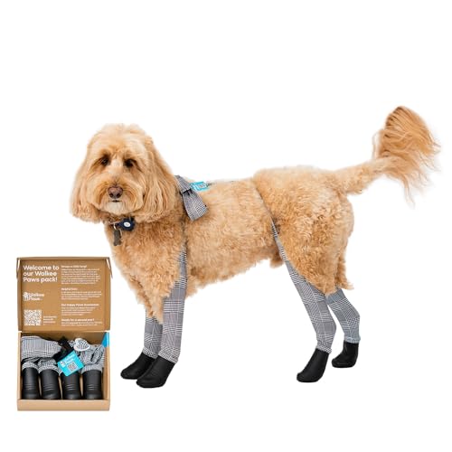 Walkee Paws Deluxe-Hundestiefel-Leggings, schützt vor heißen Gehwegen, Sommerschauern, nassen Oberflächen, Allergenen (klassisch, Größe S/M) von Walkee Paws