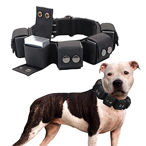 Walktime, Hundehalsband, Taktisches Hundehalsband, Gewichtetes Hundehalsband mit Gewichten für Hundetraining und Trainingsgeräte - Freie Gewichte Kleine Mittlere Große Hunde von Walktime