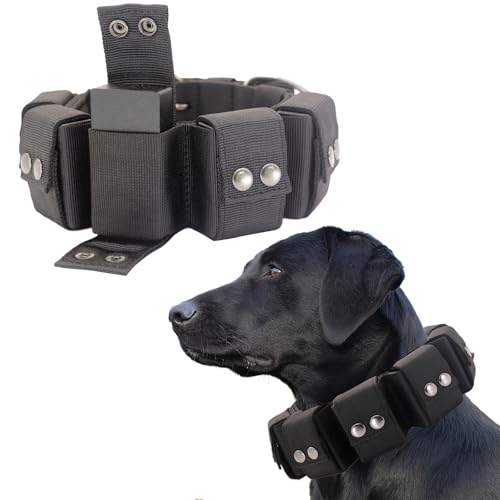 Walktime, Hundehalsband, taktisches Hundehalsband, gewichtetes Hundehalsband mit Gewichten für Hundetrainings- und Trainingsgeräte – freie Gewichte, kleine, mittelgroße und große Hunde Walktime, Hundehalsband, taktisches Hundehalsband, gewichtetes Hundehalsband mit Gewichten für Hundetrainings- und Trainingsgeräte – freie Gewichte, kleine, mittelgroße und große Hunde von Walktime