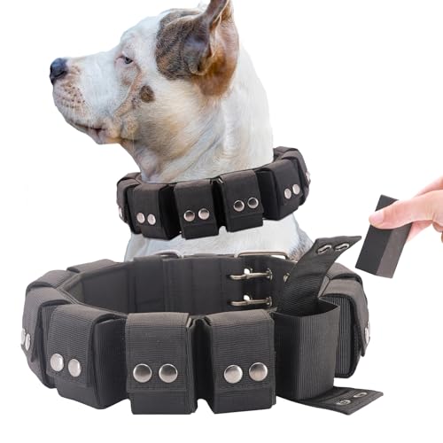 Walktime, Hundehalsband, taktisches Hundehalsband, gewichtetes Hundehalsband mit Gewichten für Hundetrainings- und Trainingsgeräte – freie Gewichte, kleine, mittelgroße und große Hunde Walktime, Hundehalsband, taktisches Hundehalsband, gewichtetes Hundehalsband mit Gewichten für Hundetrainings- und Trainingsgeräte – freie Gewichte, kleine, mittelgroße und große Hunde von Walktime