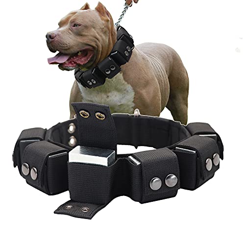 Walktime Taktisches, militärisches Hundehalsband, beschwertes Hundehalsband, Pitbull Hundehalsband, verstellbares Nylon-Hundehalsband, robuste Metallschnalle für Hundetraining und Übung von Walktime