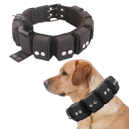 Walktime Taktisches gewichtetes Hundehalsband – Gewichte für Training und Bewegung – kleine, mittelgroße und große Hunde Walktime Taktisches gewichtetes Hundehalsband – Gewichte für Training und Bewegung – kleine, mittelgroße und große Hunde von Walktime