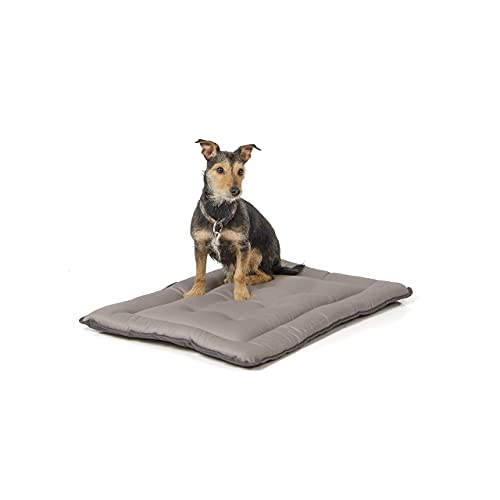 Wallace & Jones | Wendedecke pflegeleicht waschbar bis 95°C - gepolsterte Indoor/Outdoor Liegedecke für Hunde | Hundedecke - 75 x 55 cm - Hellgrau/Dunkelgrau von Wallace & Jones