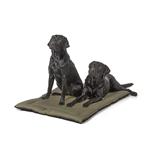 Wallace & Jones | Wendedecke pflegeleicht waschbar bis 95°C - gepolsterte Indoor/Outdoor Liegedecke für Hunde | XL - 110 x 80 cm - Dunkelblau/Oliv von Wallace & Jones