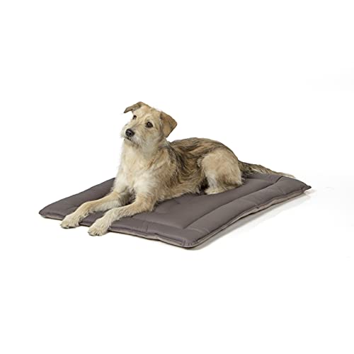 Wallace & Jones | Wendedecke pflegeleicht waschbar bis 95°C - gepolsterte Indoor/Outdoor Liegedecke für Hunde | XL - 90 x 70 cm - Hellgrau/Dunkelgrau von Wallace & Jones